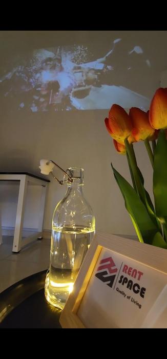 ixora coliving lifestyle homestay