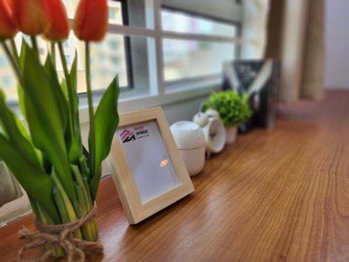 ixora coliving lifestyle homestay