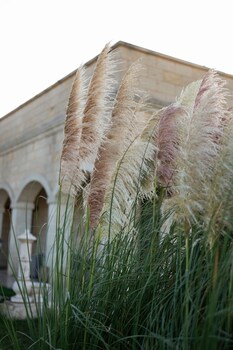 tenuta dorolivo guest house e bandb