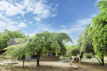 yala wild hut