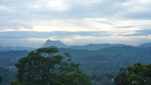 amandara hills kandy