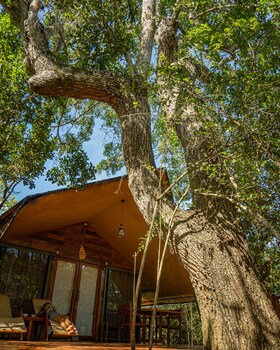 leopard reach yala by seven angels