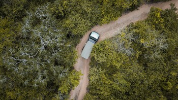 leopard reach yala by seven angels