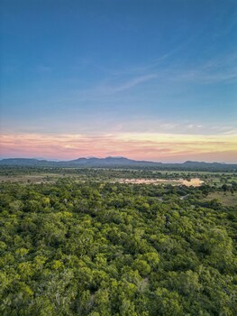 leopard reach yala by seven angels