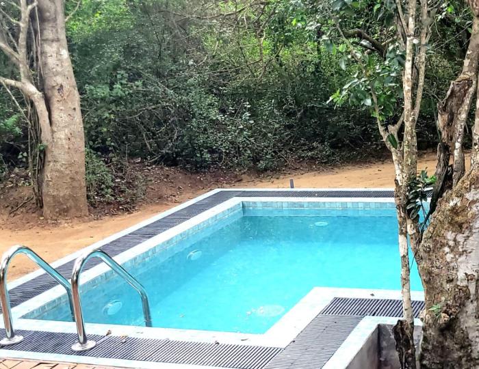 leopard reach yala by seven angels