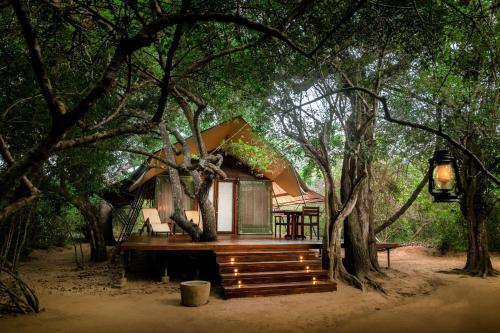 leopard reach yala by seven angels