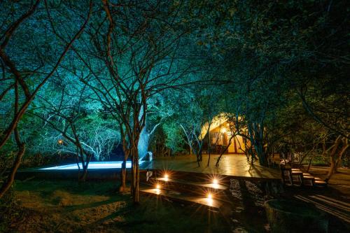 leopard reach yala by seven angels