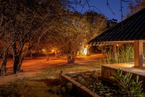 leopard reach yala by seven angels