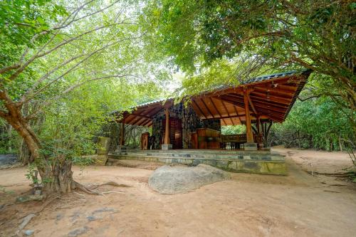 leopard reach yala by seven angels