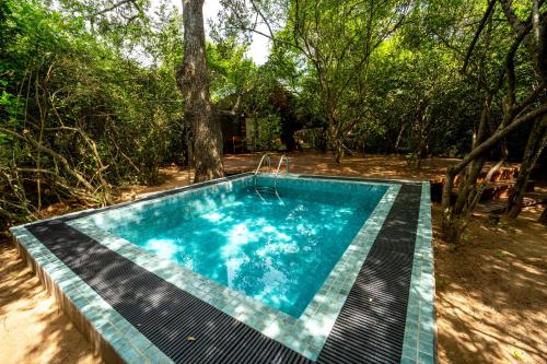 leopard reach yala by seven angels