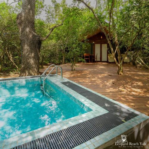 leopard reach yala by seven angels