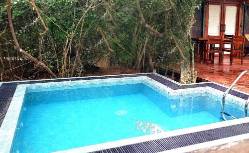 leopard reach yala by seven angels