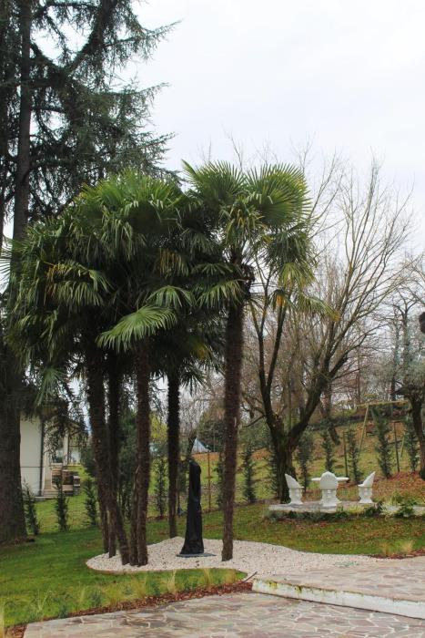 villa jasmine