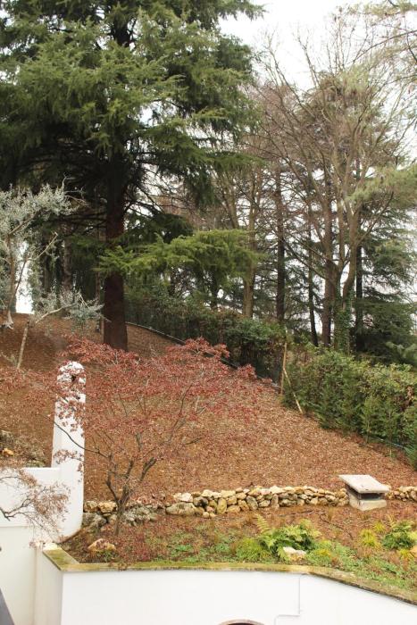 villa jasmine