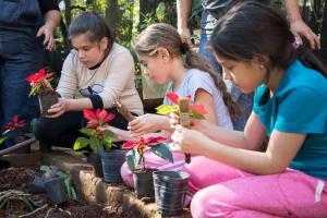 iguazu grand resort spa and casino