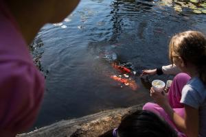 iguazu grand resort spa and casino