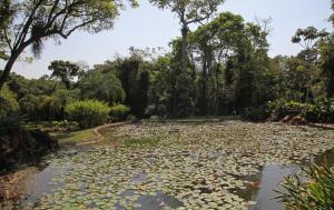iguazu grand resort spa and casino