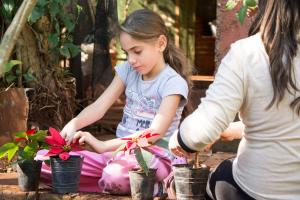 iguazu grand resort spa and casino