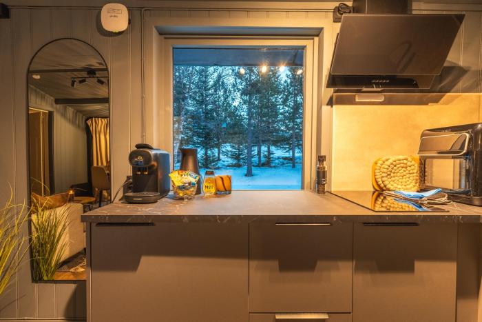 aera aurora glass cabins
