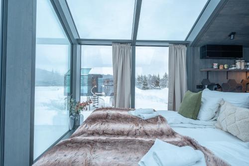 aera aurora glass cabins