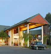 millennium resort manuels
