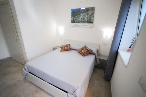 bandb revolution bed and breakfast