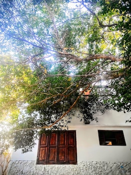 la caracola cartagena