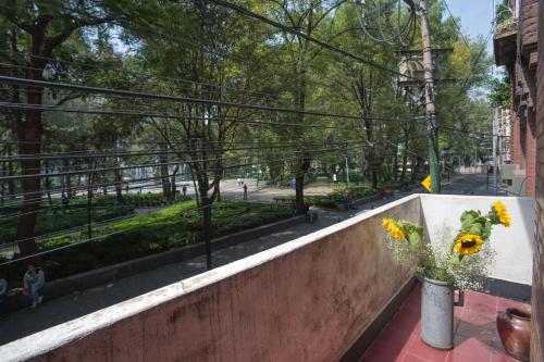 mexico city