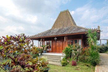 ciawi