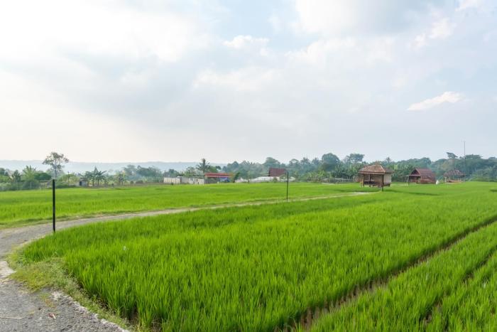 twospaces living at deros resort and cafe bogor