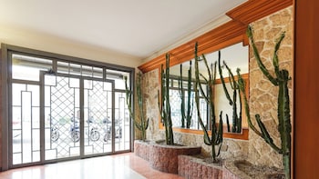 suites 51