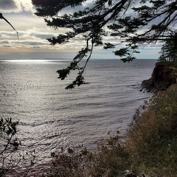 the cliffside inn