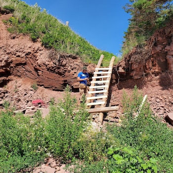 the cliffside inn