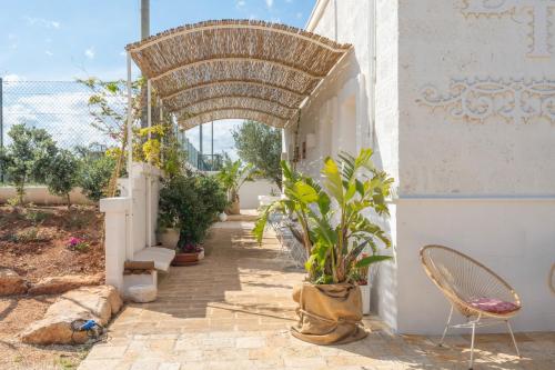 fasano