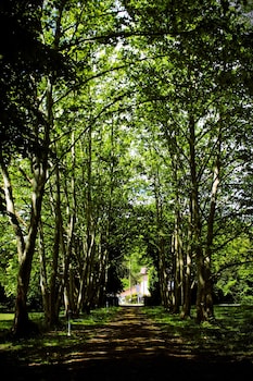 domaine la gazaille de camille