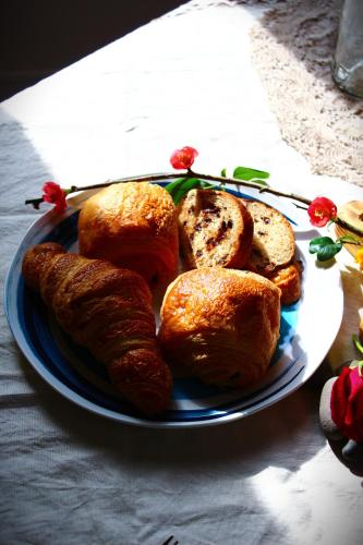 domaine la gazaille de camille