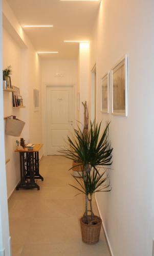 flegreo bed and breakfast