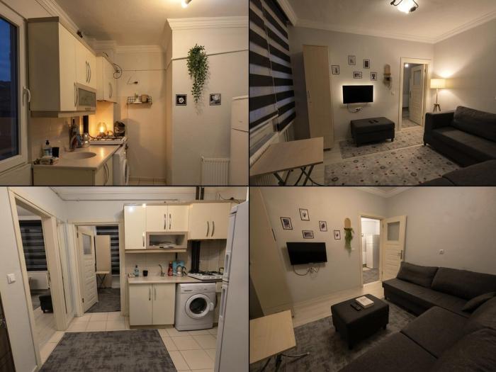 masha suite