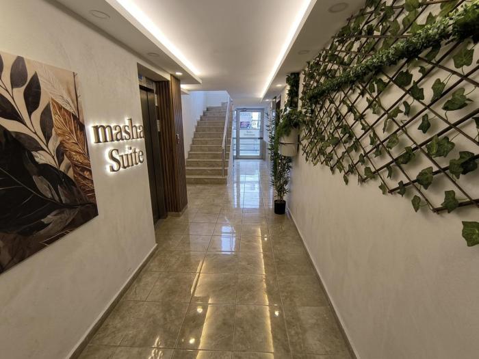 masha suite