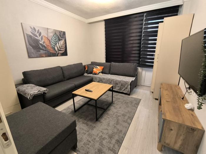 masha suite