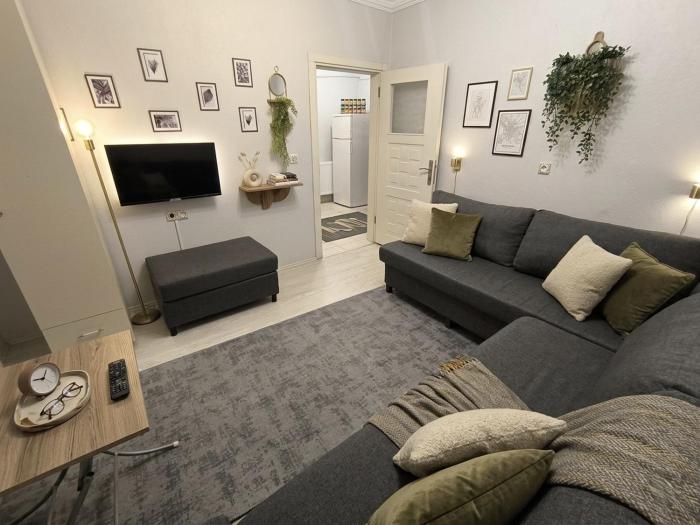 masha suite
