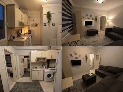 masha suite