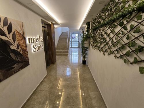 masha suite