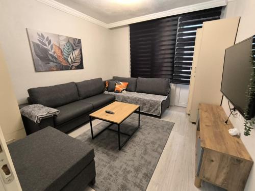 masha suite