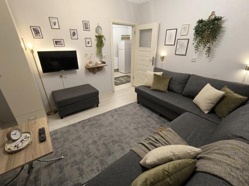 masha suite