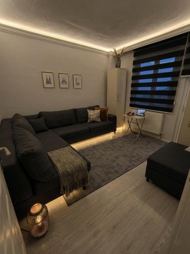 masha suite