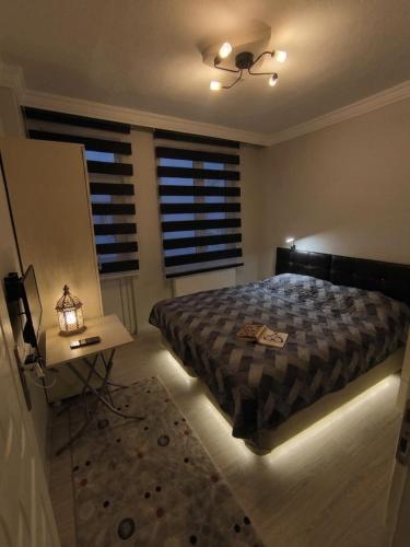 masha suite