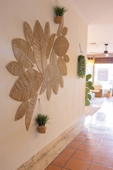 flag hotel madeira ribeira brava