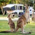 south west rocks