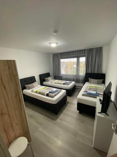 apartments feniks